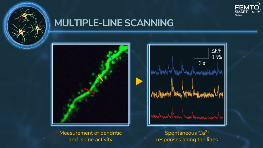 fluorescence data collection with multiple-line scanning 